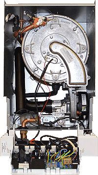 vm vitodens 100-w 35 compact inner blr pcb ex.gif